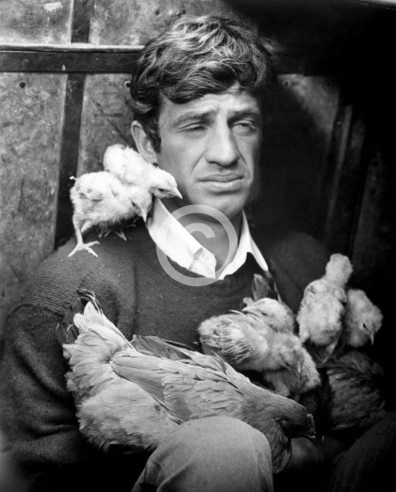 Belmondo, Jean-Paul (Up to His Ears)