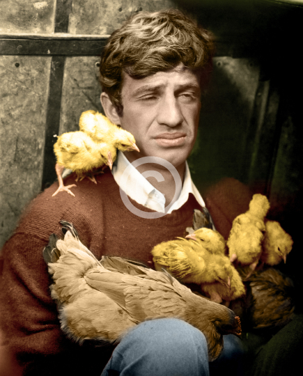 Belmondo, Jean-Paul (Up to His Ears)