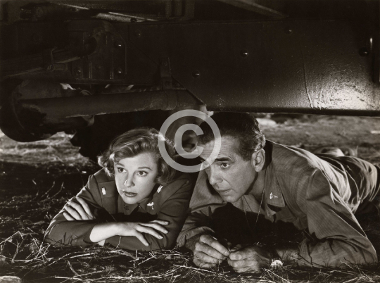 Bogart, Humphrey (Battle Circus)