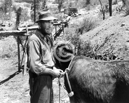 Bogart, Humphrey (The Treasure of the Sierra Madre)