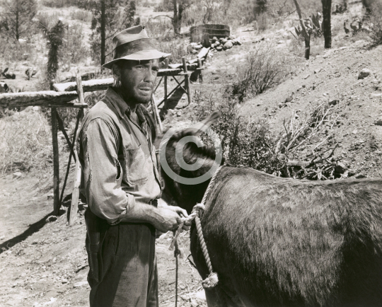 Bogart, Humphrey (The Treasure of the Sierra Madre)