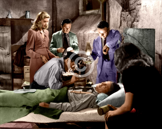 Bogart, Humphrey (To Have and Have Not)