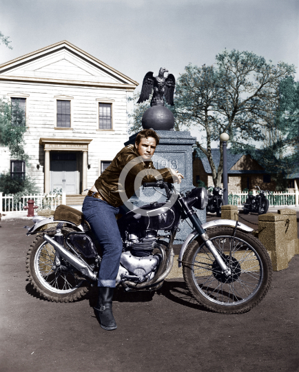 Brando, Marlon (The Wild One)