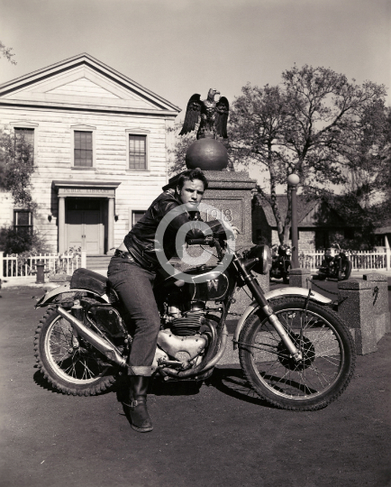 Brando, Marlon (The Wild One)