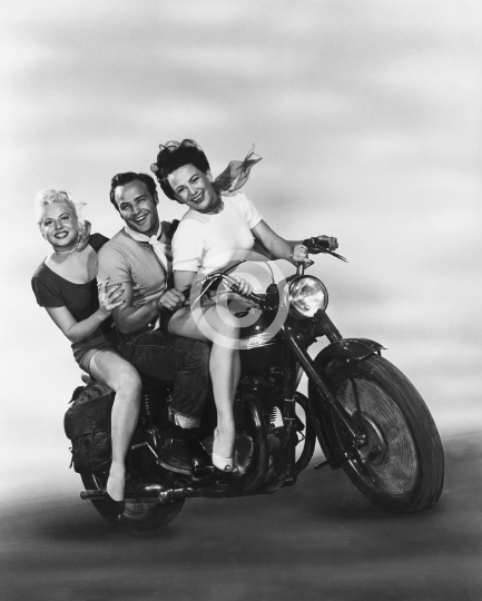 Brando, Marlon (The Wild One)