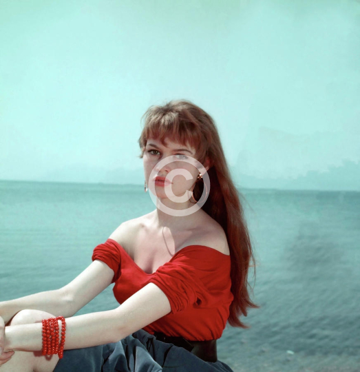 Brigitte Bardot In Cannes