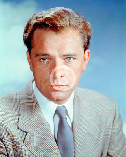 Burton, Richard