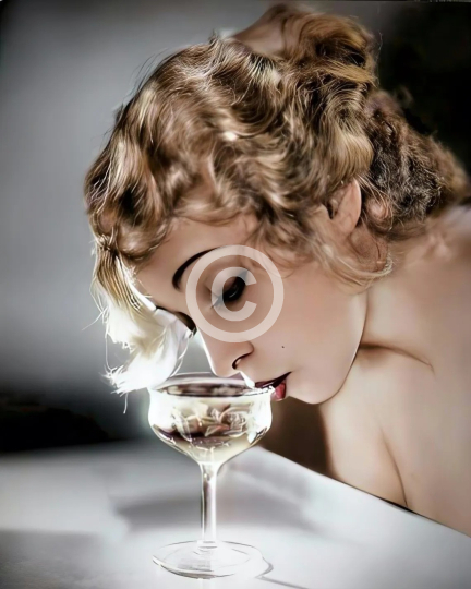 Glamour photo Champagne Life printposter c. 1920s