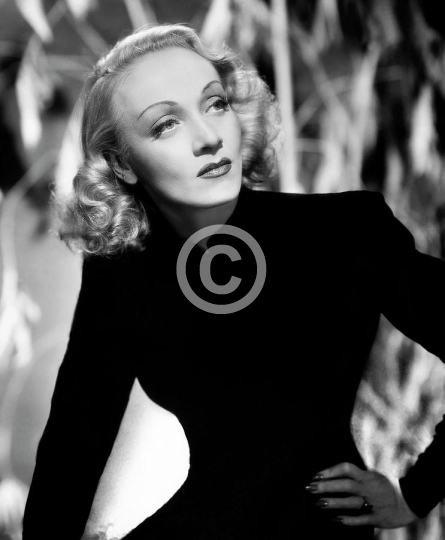 Marlene Dietrich Classic Beauty