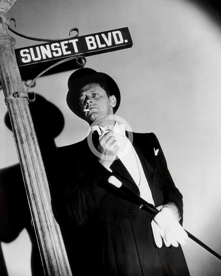 William Holden publicity photo Sunset Boulevard c. 1950