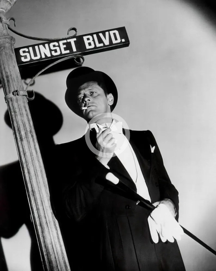 William Holden publicity photo Sunset Boulevard c. 1950