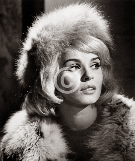 Berger, Senta (The Victors)