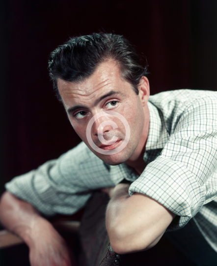 Bogarde, Dirk