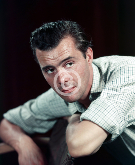 Bogarde, Dirk