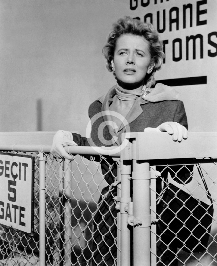 Borchers, Cornell (Istanbul)