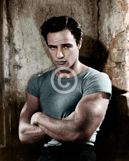 Brando, Marlon (A Streetcar Named Desire)