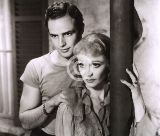Brando, Marlon (A Streetcar Named Desire)