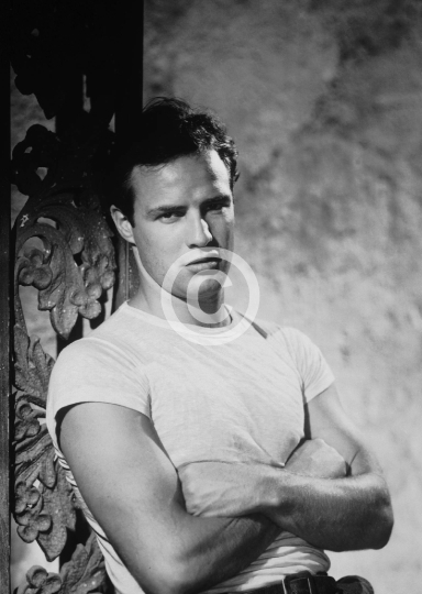 Brando, Marlon (A Streetcar Named Desire)