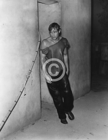 Brando, Marlon (A Streetcar Named Desire)