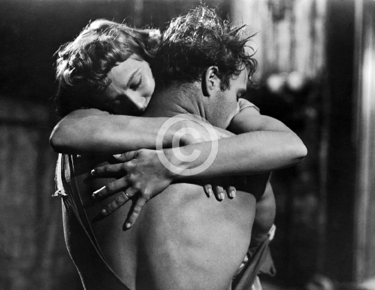 Brando, Marlon (A Streetcar Named Desire)