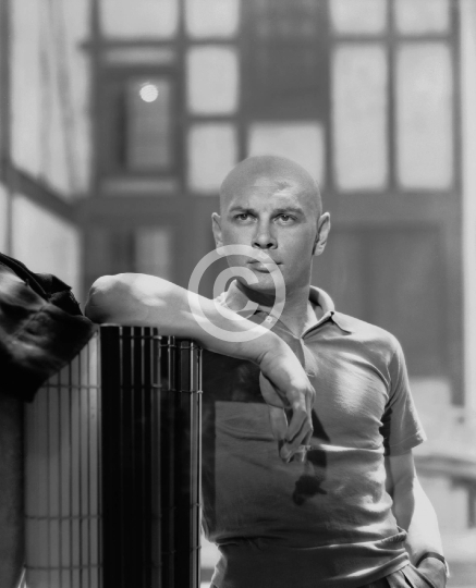Brynner, Yul