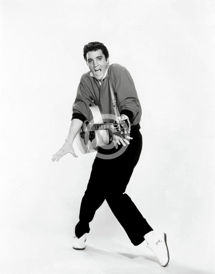 Elvis Presley Jailhouse Rock