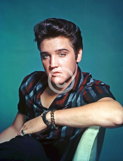 Elvis Presley Portrait On Blue