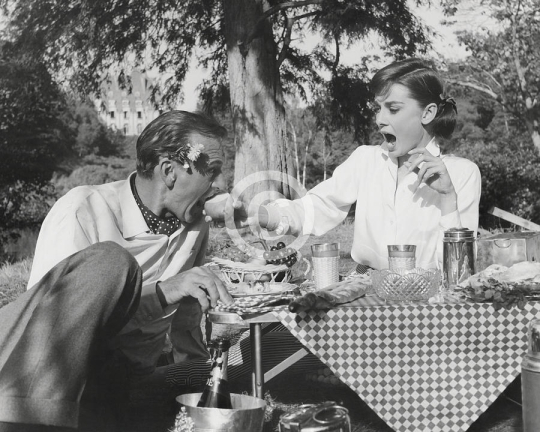 Gary Cooper And Audrey Hepburn Lovers On A Picnic