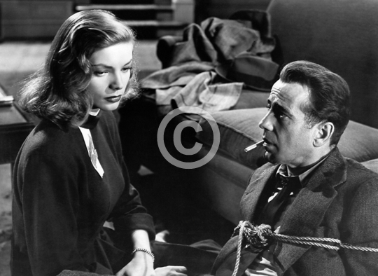 Lauren Bacall (The Big Sleep)