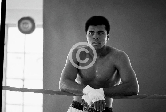 Muhammad Ali Training In Florida