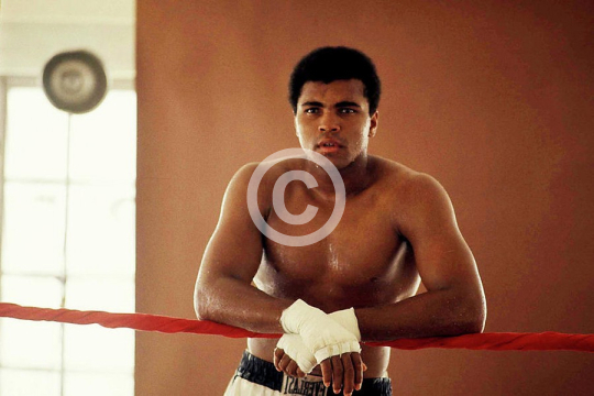Muhammad Ali Training In Florida