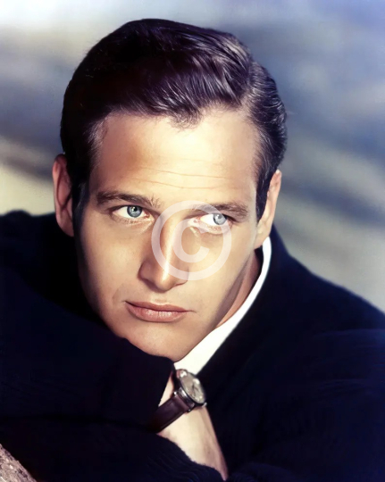 Paul Newman studio photo c. late 1950s