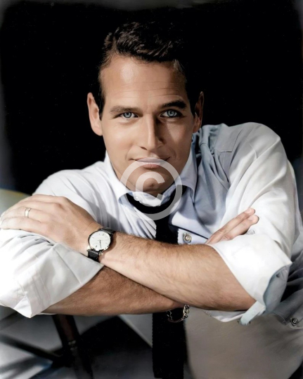 Paul Newman studio portrait c. 1960s